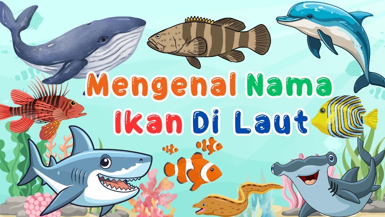 Belajar Mengenal Nama Ikan di Laut 🐳🐟🐠🐡