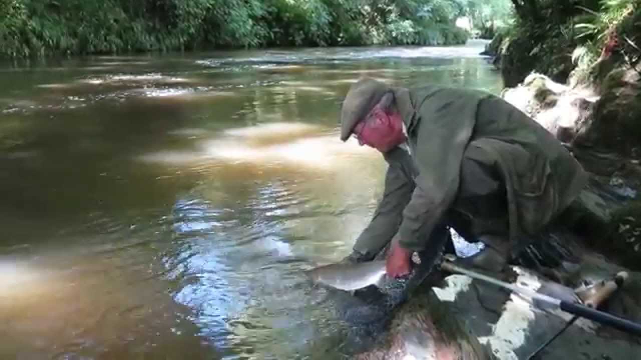 Arundell Arms August salmon.