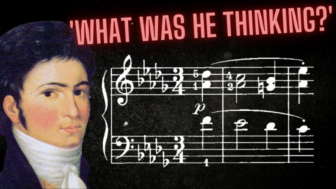 Moonlight Sonata 2nd Movement...The Story Continues