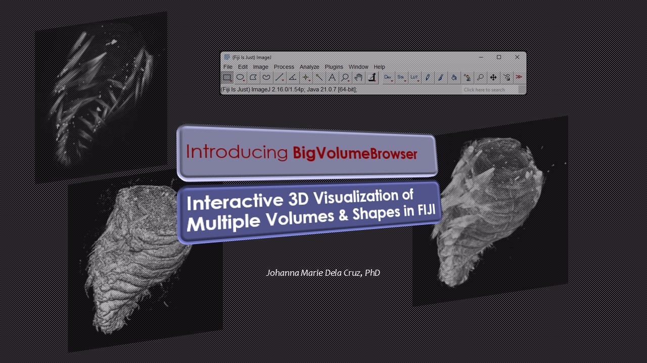 Interactive 3D Visualization of Multiple Volumes & Shapes in FIJI (BigVolumeBrowser)