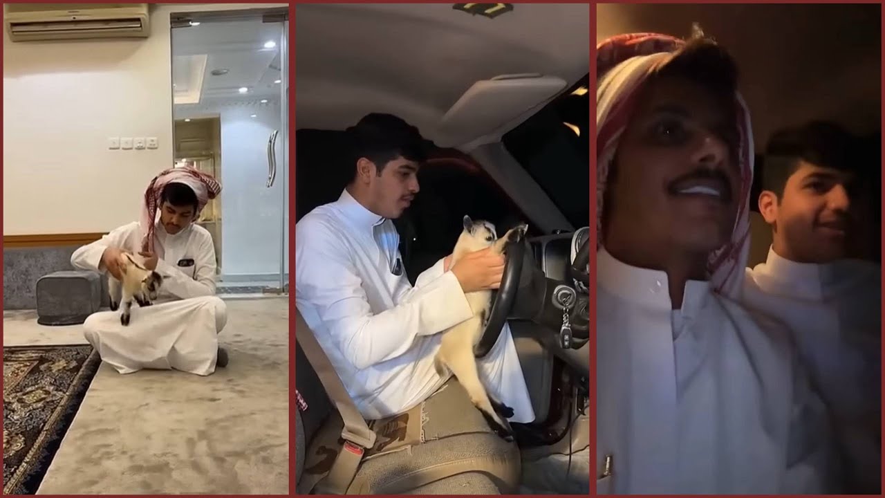 سنابات معاذ السهلي | مع سيف السهلي و عبدالله 😂💔 فعاليات