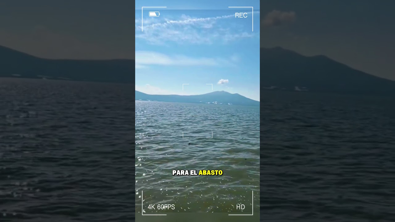 JALISCO: Lago de Chapala cierra 2025 con nivel favorable de agua 