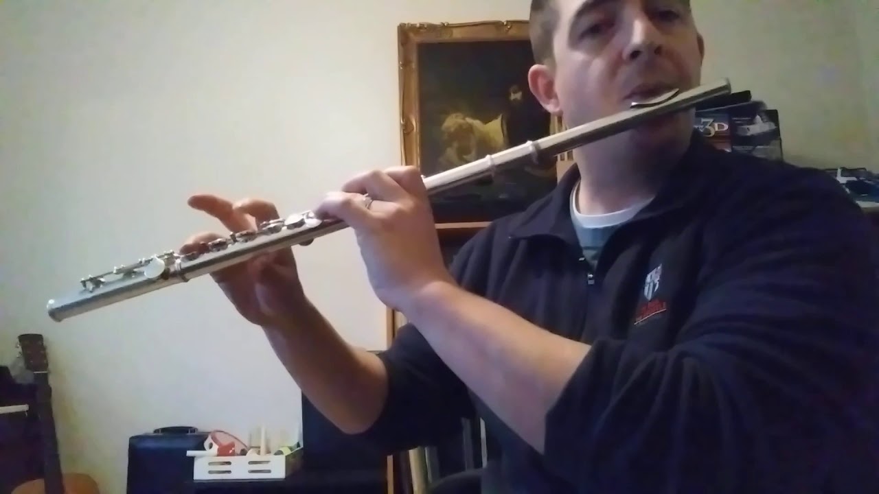 Selmer Fl300 SN 17934 Demonstration