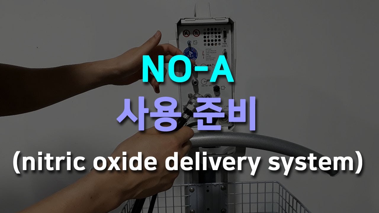 NO-A 준비 방법 nitric oxide delivery system (EKU)