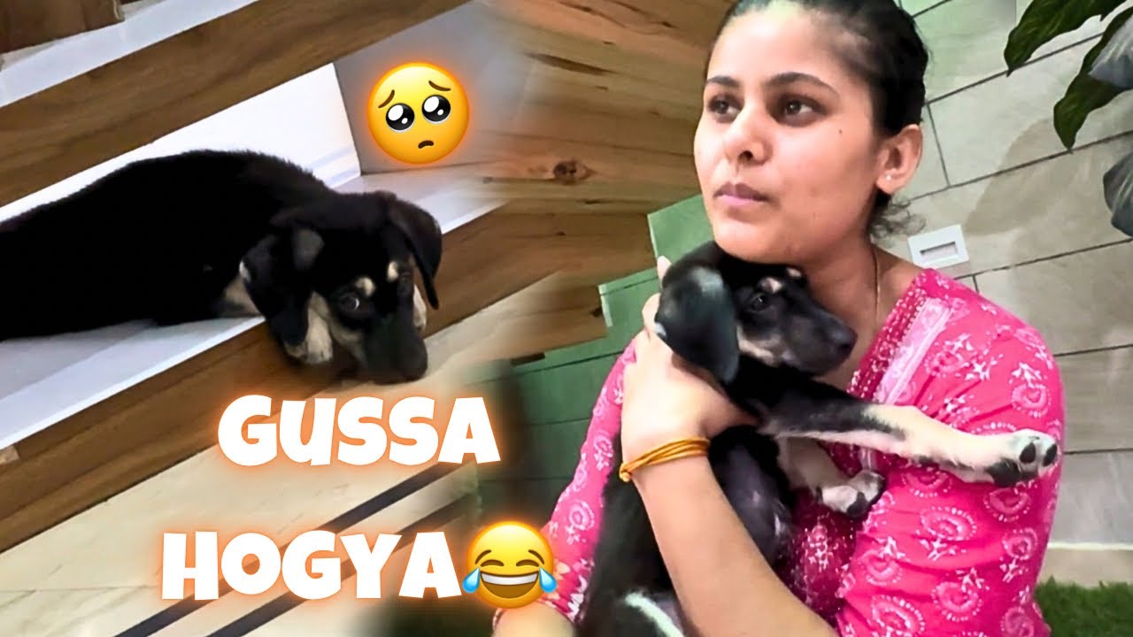 Kallu Hogya Gussa😅 Didi Ne Kardi Pitai 😬❤️ #vlog