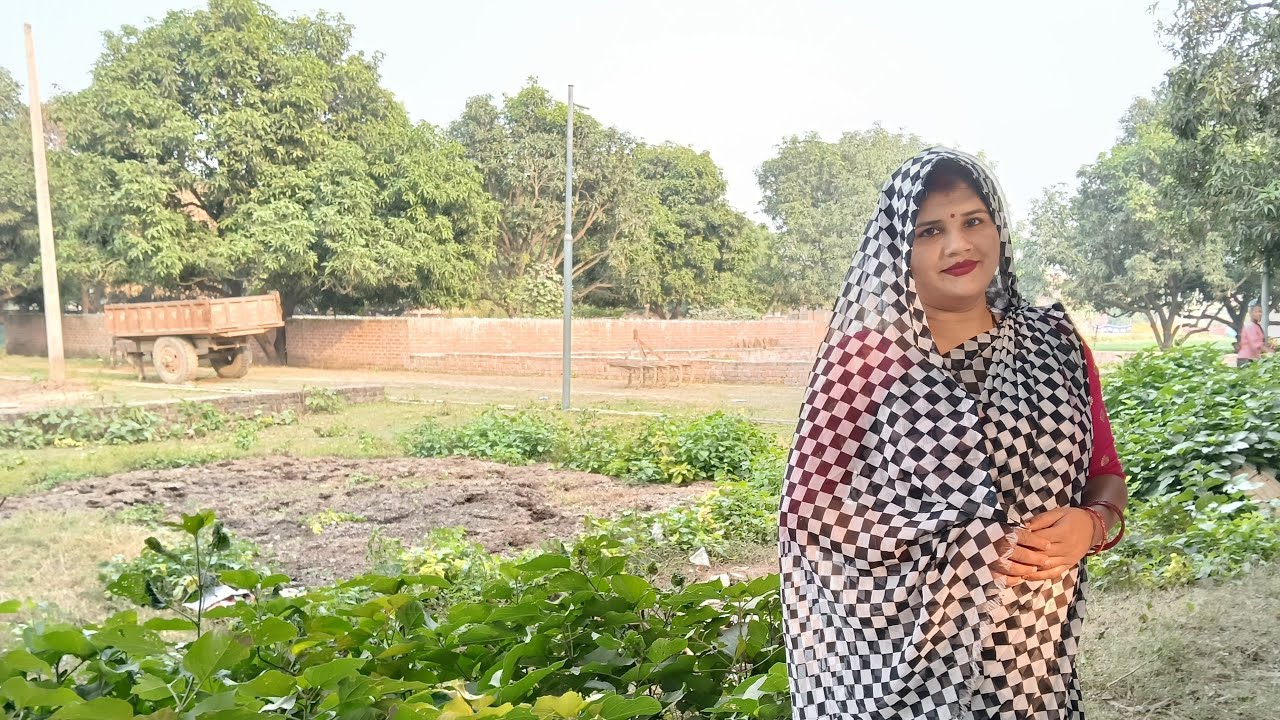 Sapna dance  is live! वॉच टाइम कैसेपूरा करें