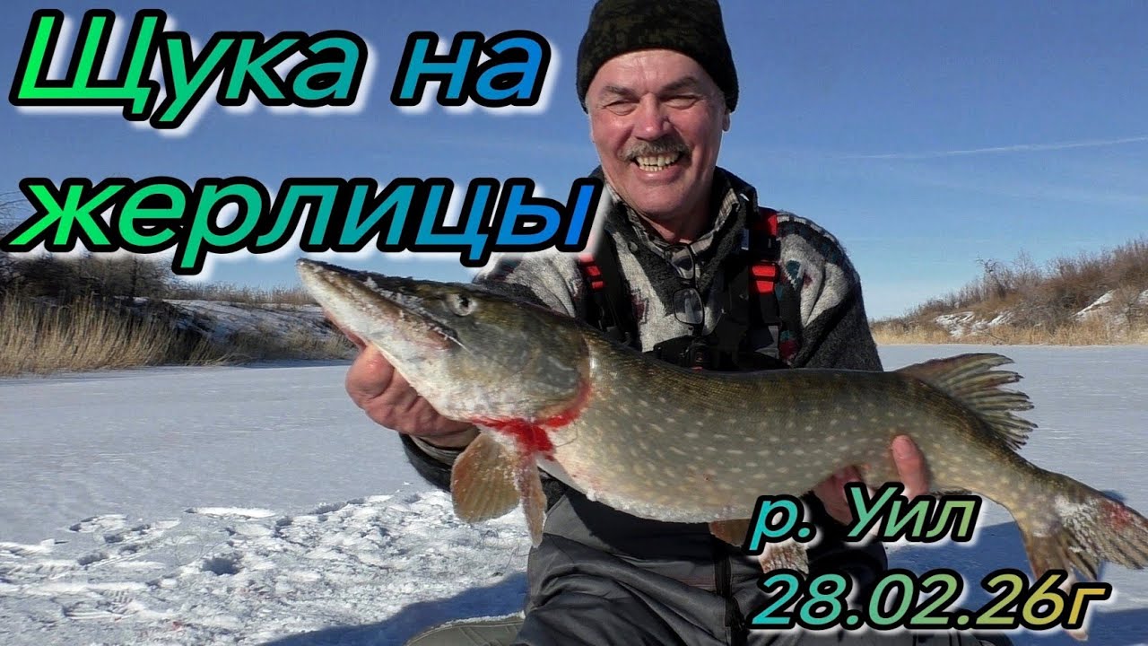 Ловля щуки в феврале на жерлицы, леска трещит в руках. Рыбалка на р Уил Актюбинская обл 28 02 26г