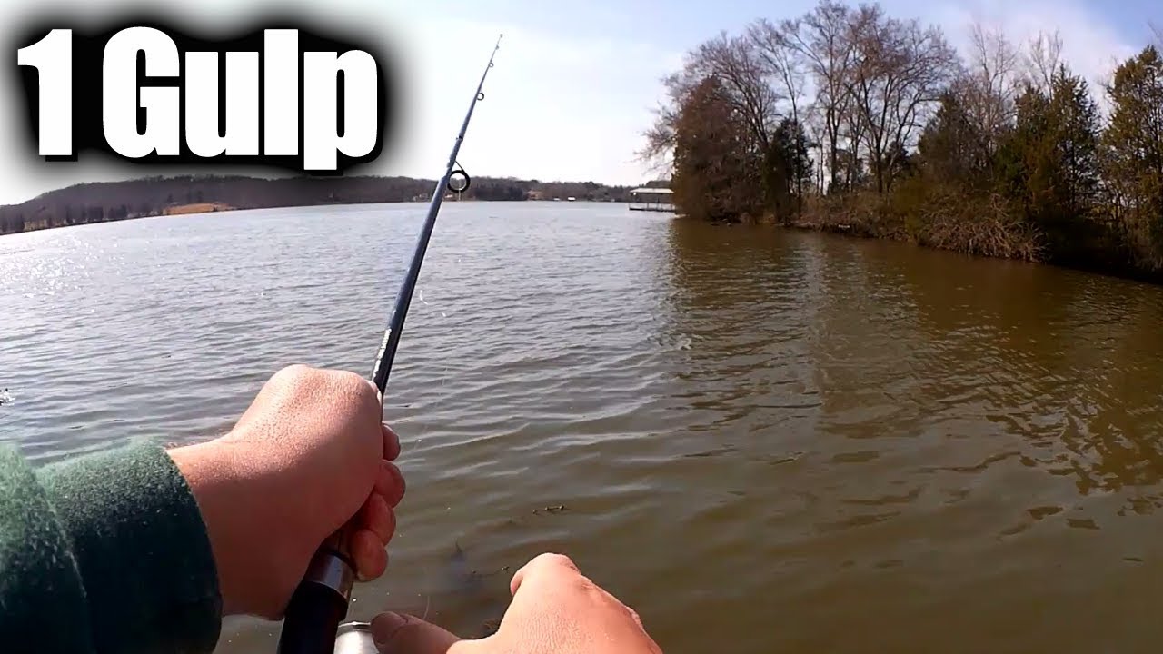 Сколько рыбы можно поймать на одну приманку Gulp Minnow? Давайте посмотрим!