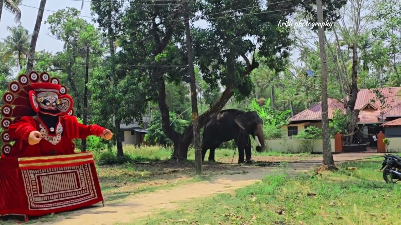 പൂരത്തിന് വന്ന ആനകൾ #elephant #athirapalli #wildanimals #wildlife #uthralikavu #pooram #kabani 