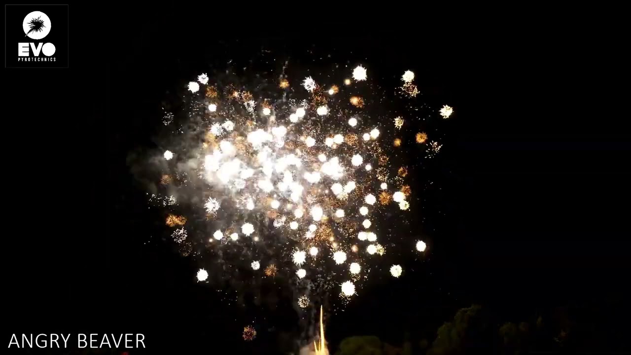 Angry Beaver by Evo Pyrotechnics @norfolkfireworksltd
