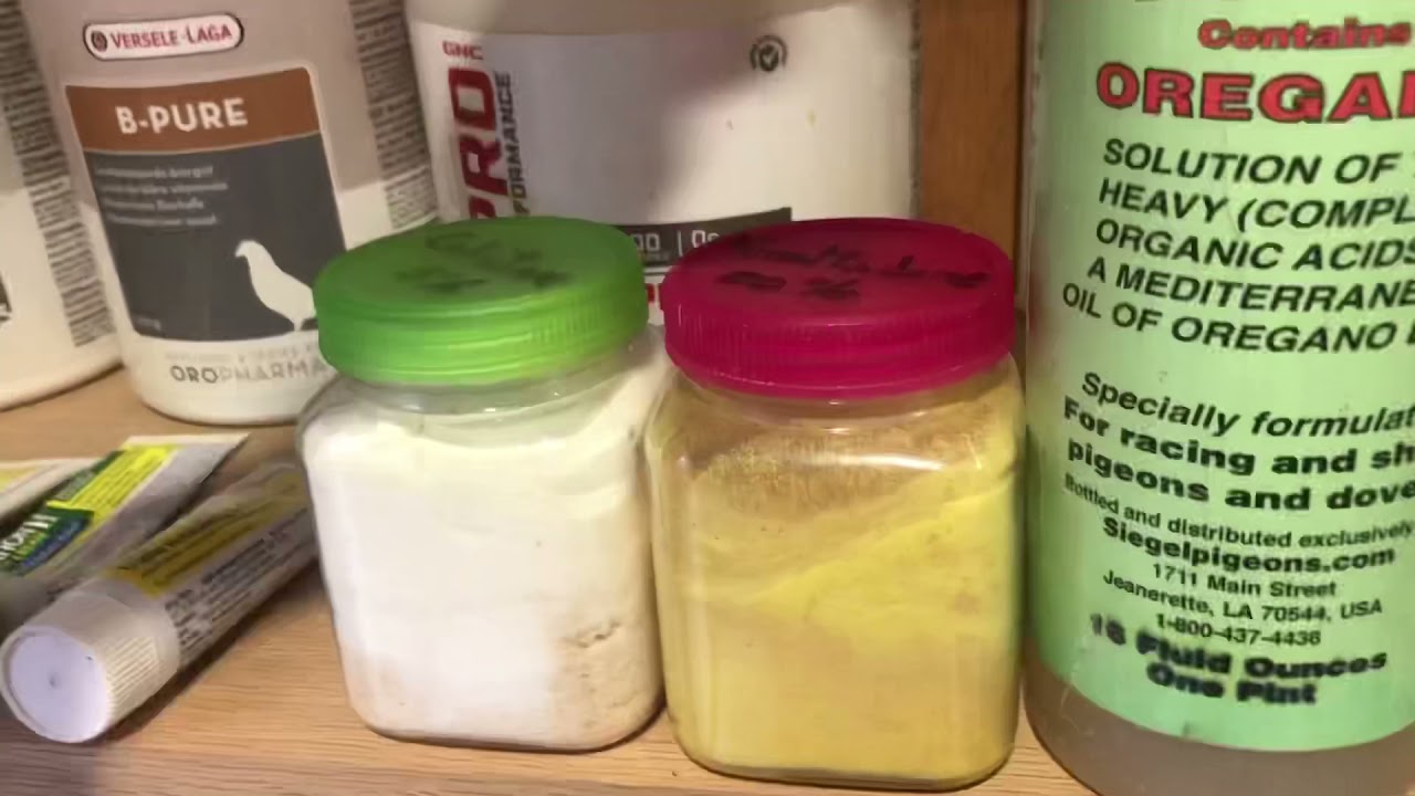 Medicinas para las Palomas. # 357 .Vitaminas,Probióticos y Antibióticos para palomas .