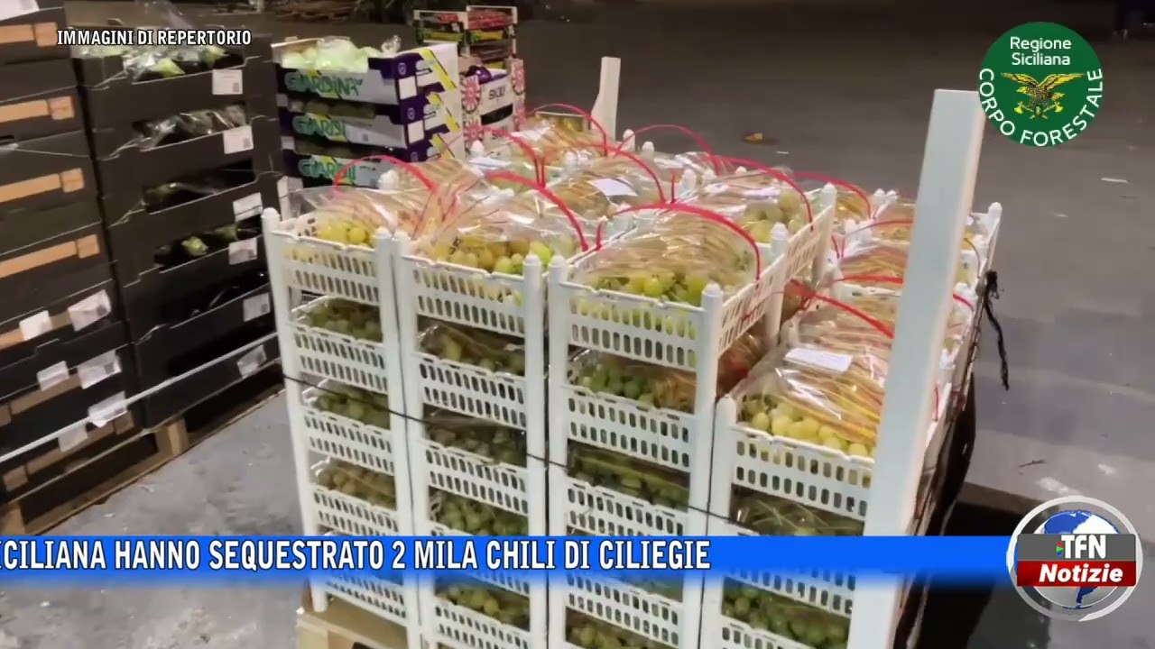 Caltanissetta, sequestrati 2 mila chili di ciliegie