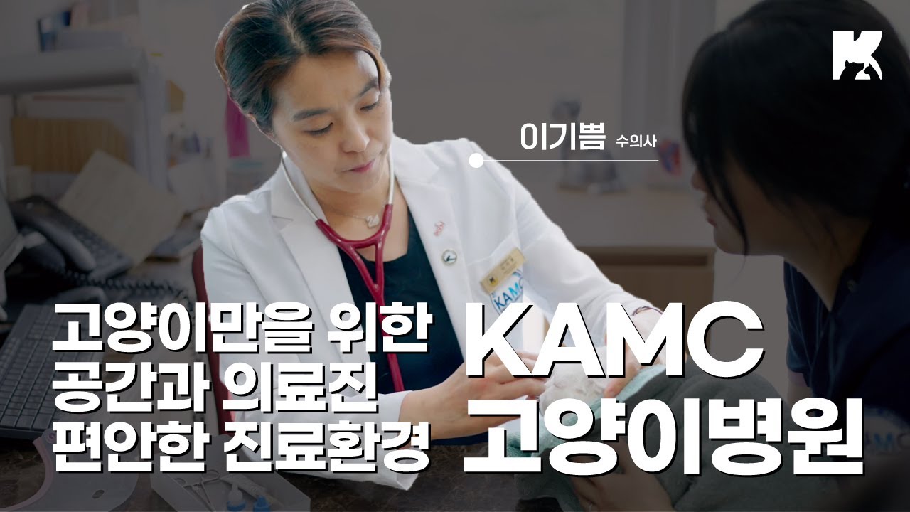 고양이만을 위한 공간과 의료진 그리고 편안한 진료환경, KAMC 고양이병원