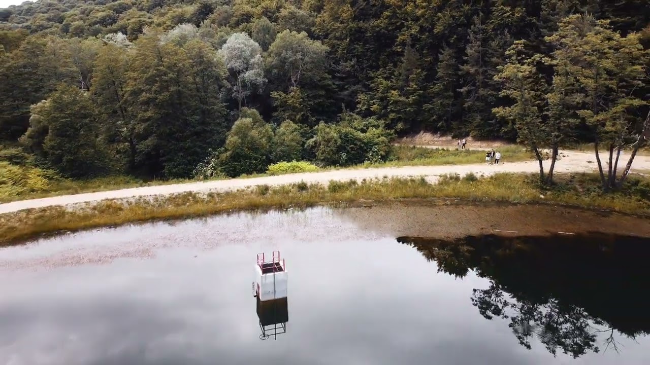 Lac Codlea
