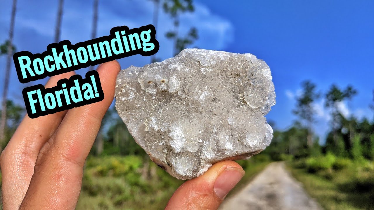 We Found Agate, Chalcedony, and Quartz Crystals While Rockhounding In Florida!