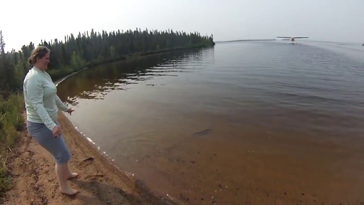 Ongelovelijke snoek aanvallen/pike attacks top 5