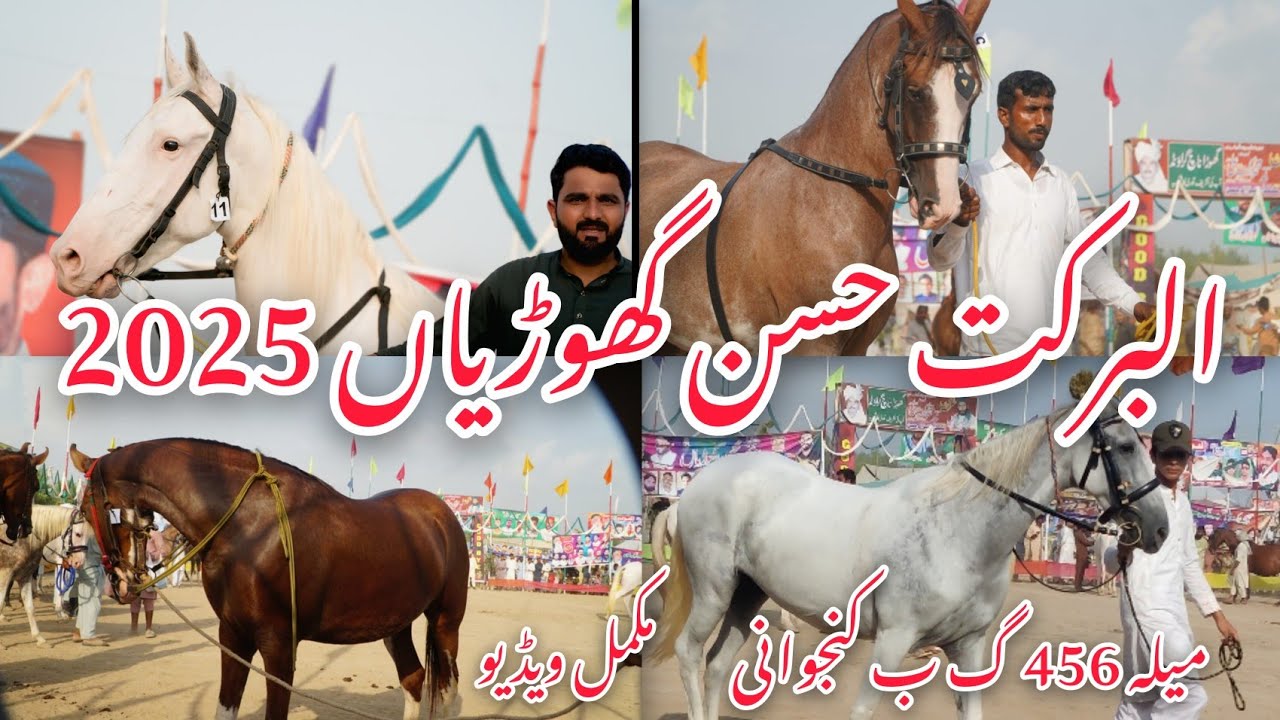 Al Barkat Muqabla Husan a Ghorian Meela Kanjhwani