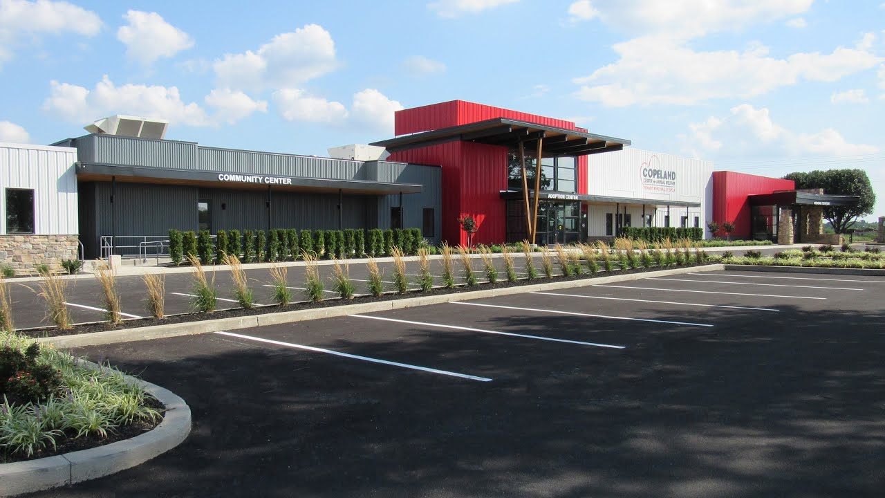 Get to Know BVSPCA Copeland Center for Animal Welfare
