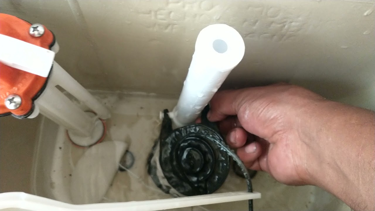 Una de las fallas por que se vac&iacute;a mi tinaco de mi casa  todo por los zapitos  peluso Tv