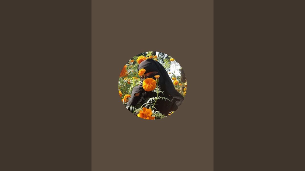 Maya Islam is live