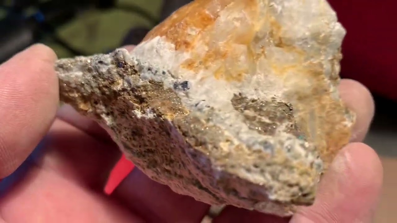Coromandel gold . Quartz full of gold, silver, copper pyrite and more