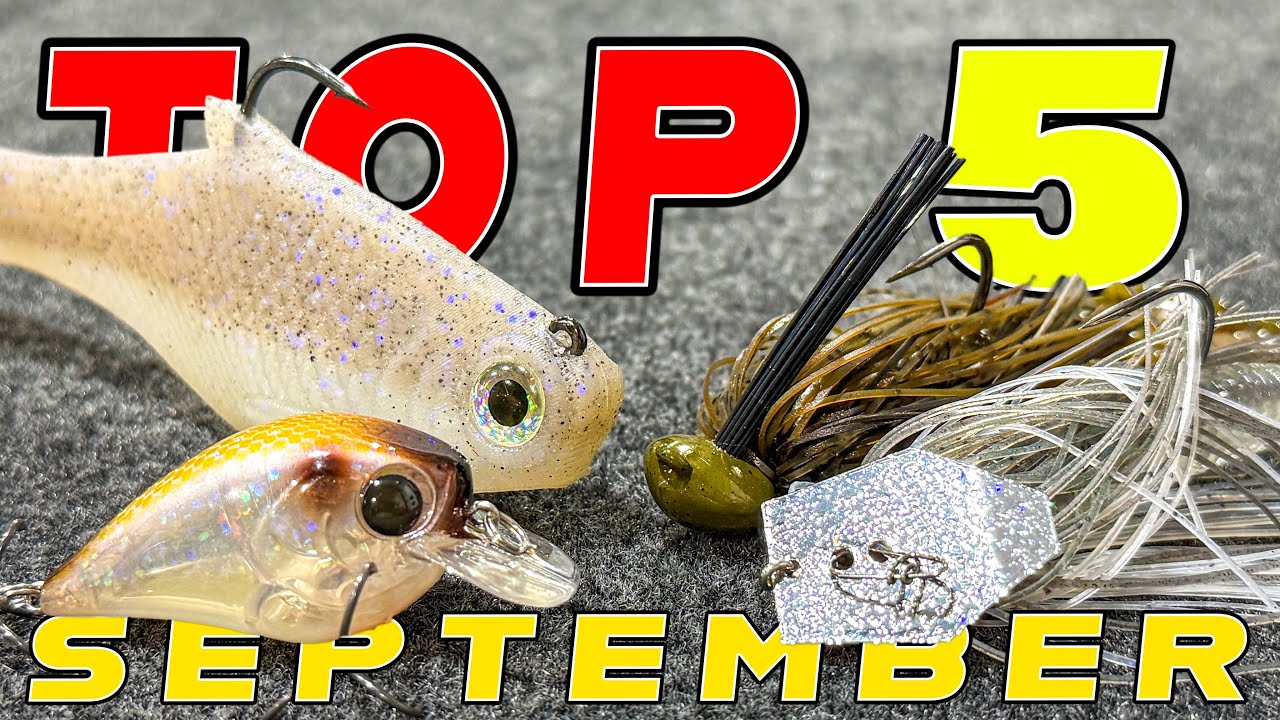 TOP 5 BAITS FOR SEPTEMBER BASS FISHING!