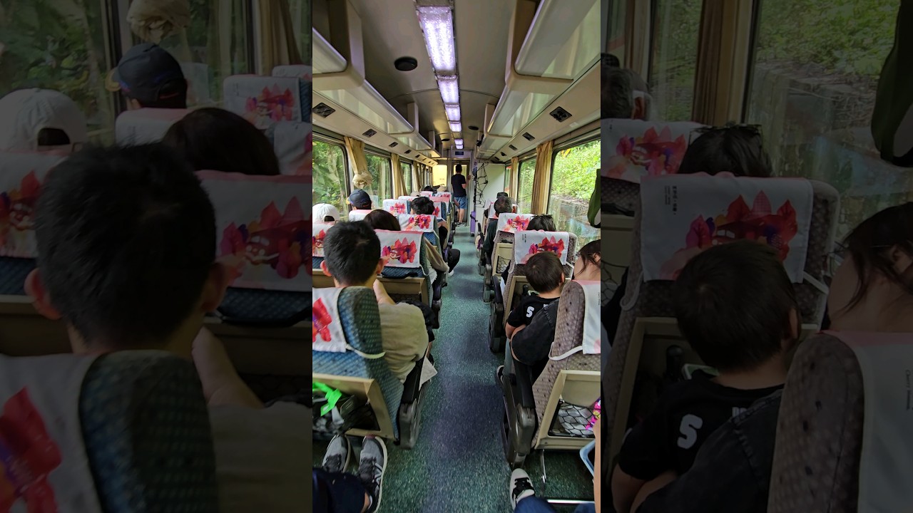 嘉義阿里山小火車「阿里山號」晃一下~ Alishan Forest Railway - Alishan Express／台灣阿里山林業鐵路／Taiwan