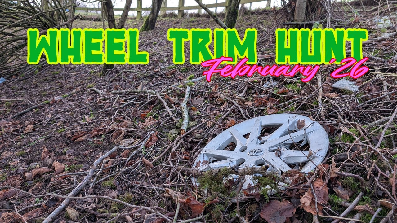A handful of hidden searches plus previous wheel trim finds