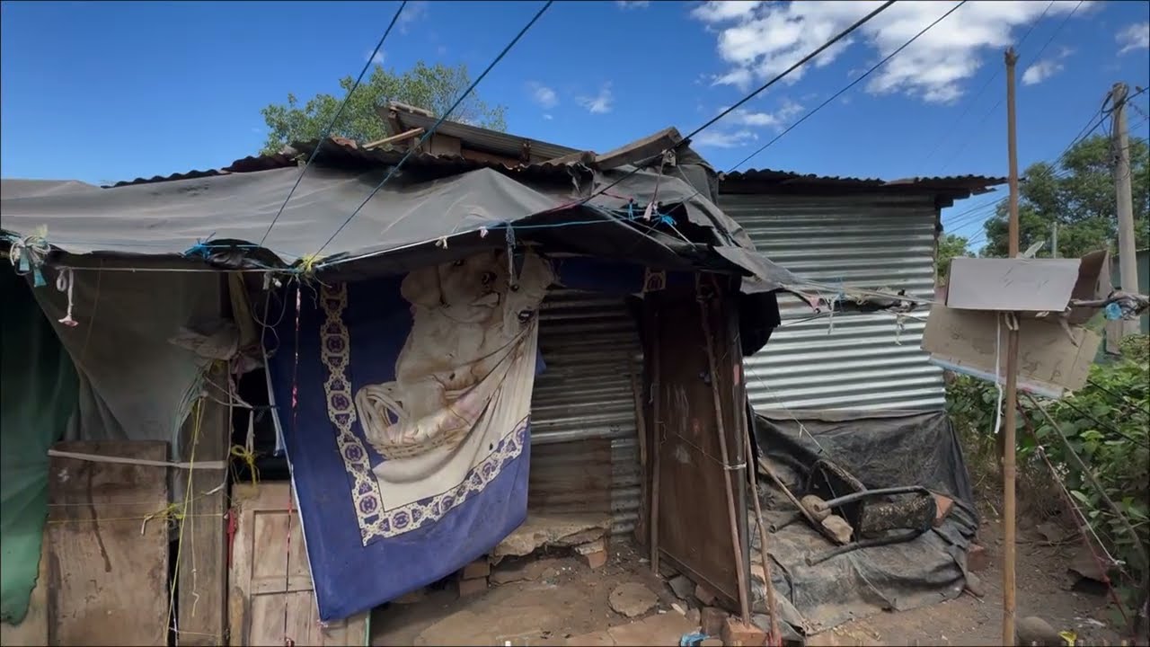 🟣Día 19 colocación de techo en la NUEVA CASA de la abuelita Blanca 