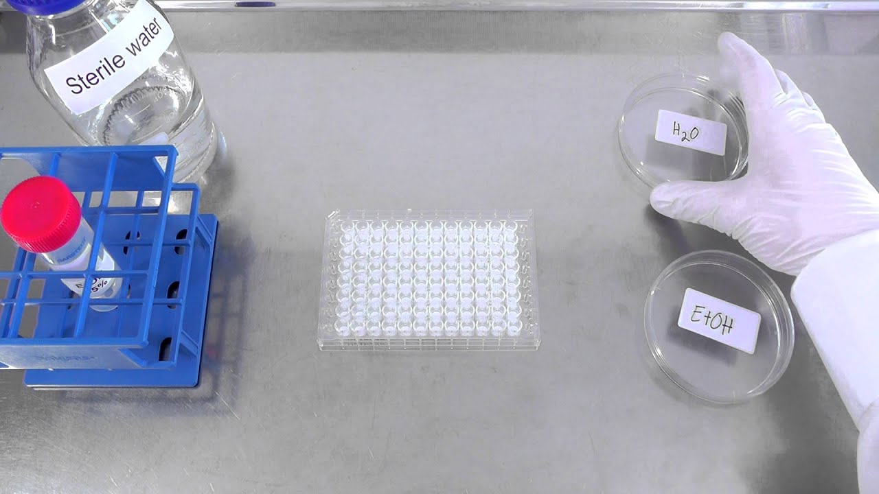 EtOH Treatment of ELISpot Plates