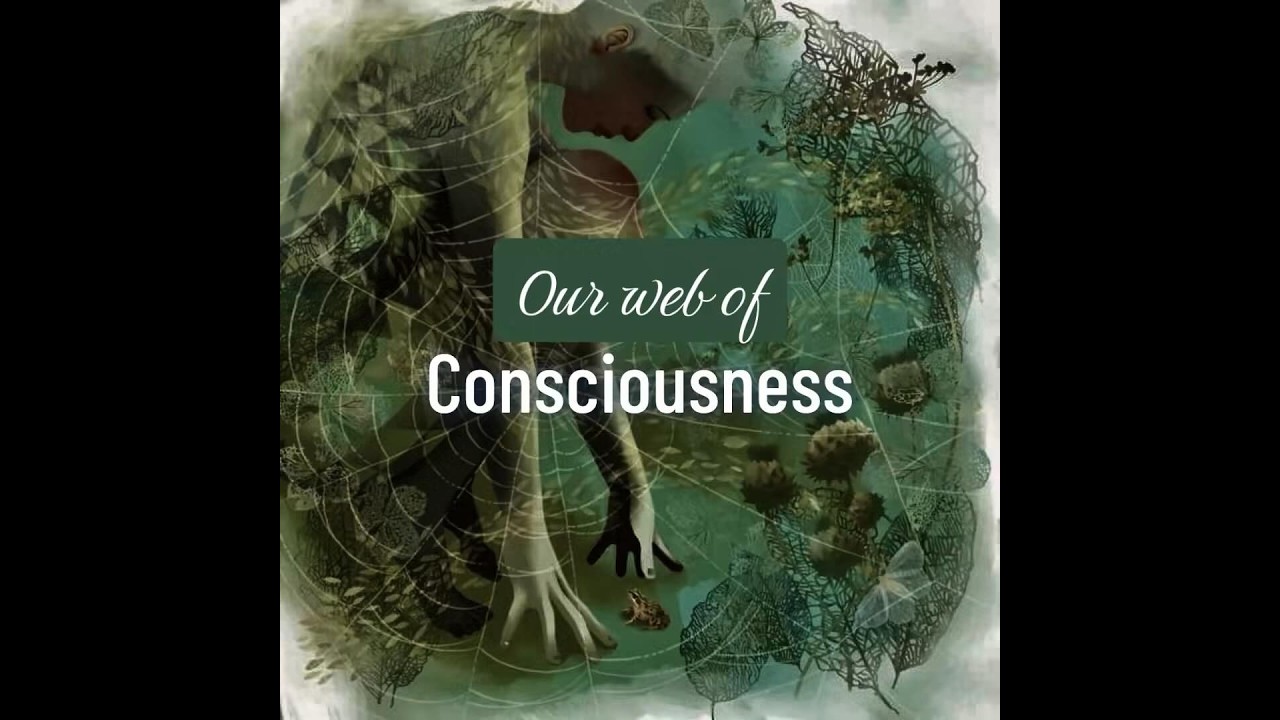 DMT Quantum Ascension