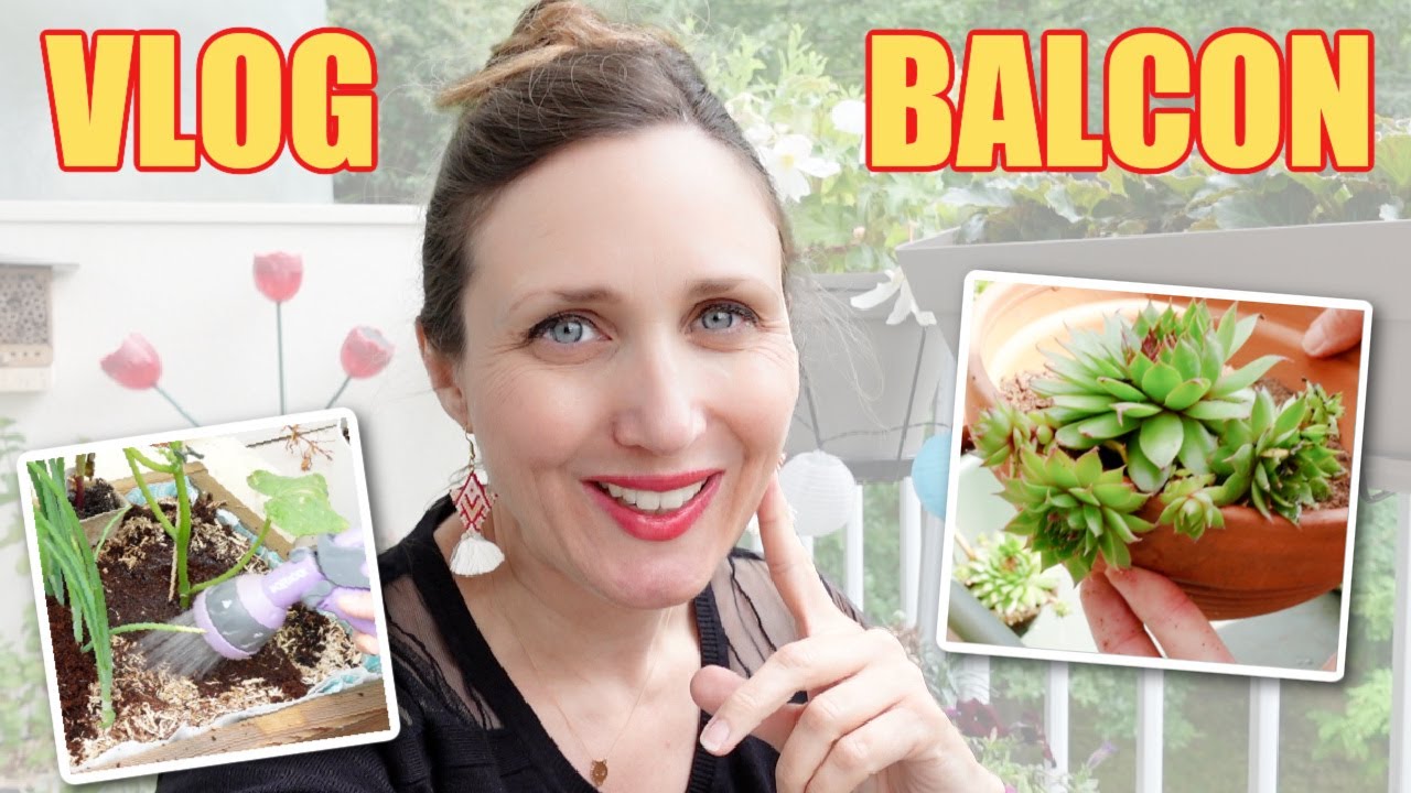 🍅 BALCON VLOG JUIN : SEMIS HARICOTS, PLANTATION CONCOMBRE 🥒, EVOLUTION POTAGER URBAIN... 👩🏼‍🌾