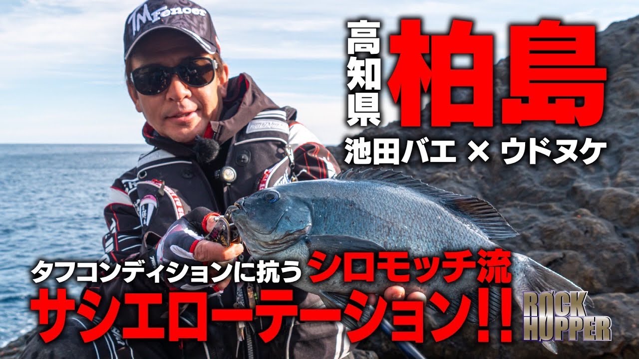 ロックホッパー  高知県柏島  ビロ-島＆大堂にて寒グレチャレンジ！