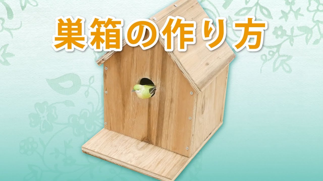 巣箱の作り方【DIY】/ How to/ DCMチャネル
