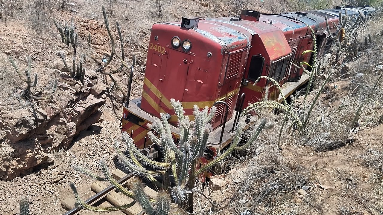 TREM CARGUEIRO DA RFFSA COM VAGÕES DE CROMO VAZIOS