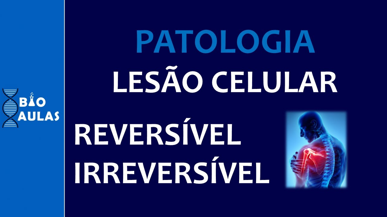 Lesão Celular Reversível e Irreversível: Mecanismos Bioquímicos (Patologia Geral) - Bio Aulas