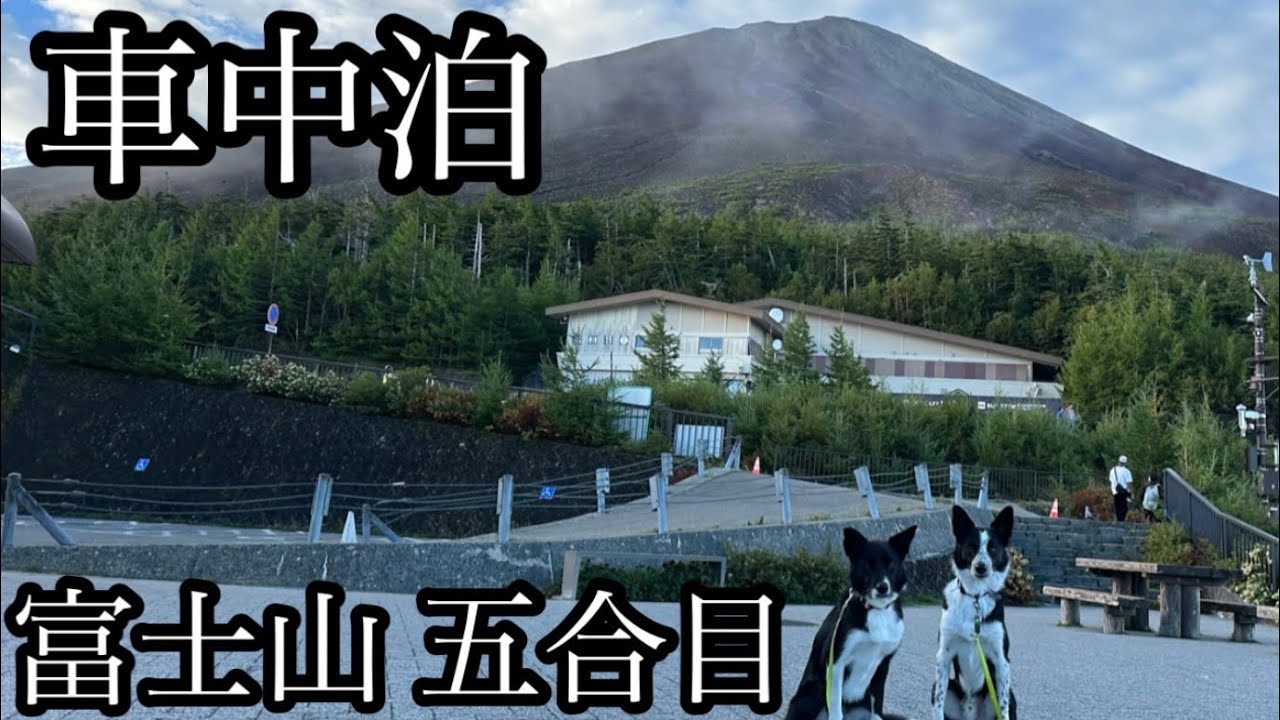 富士山五合目に行ってきたよー！【ボーダーコリー】