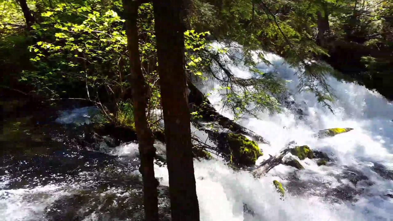 Pearsony Falls near Prospect Oregon