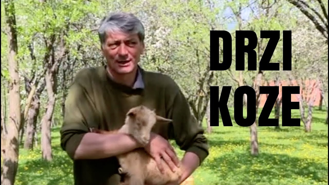 NAPUSTIO GRAD I VRATIO SE NA SELO DRZI KOZE KOD SAVNIKA