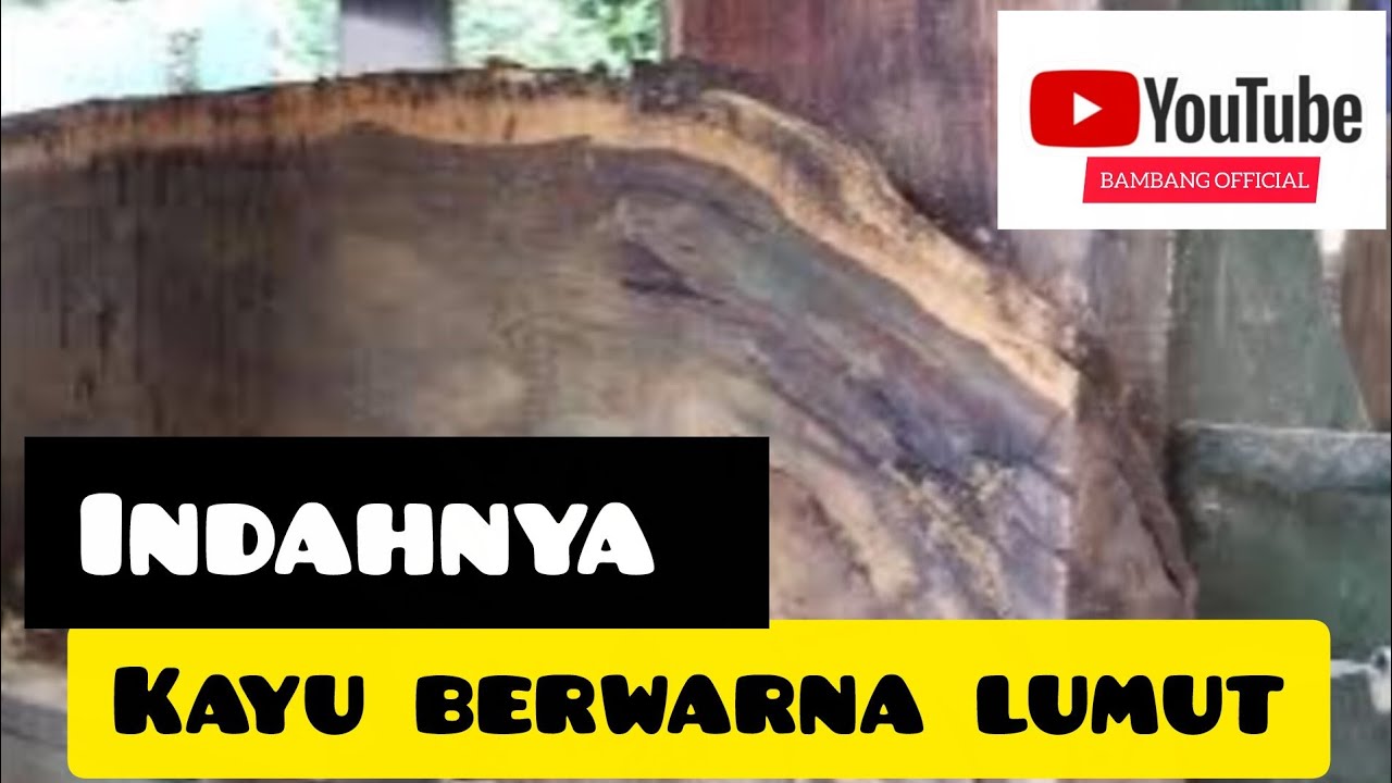 Corak kayu berwarna lumut