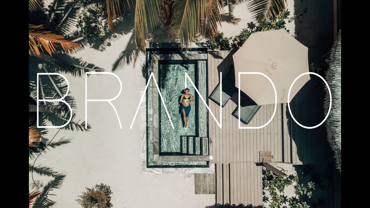THE BRANDO