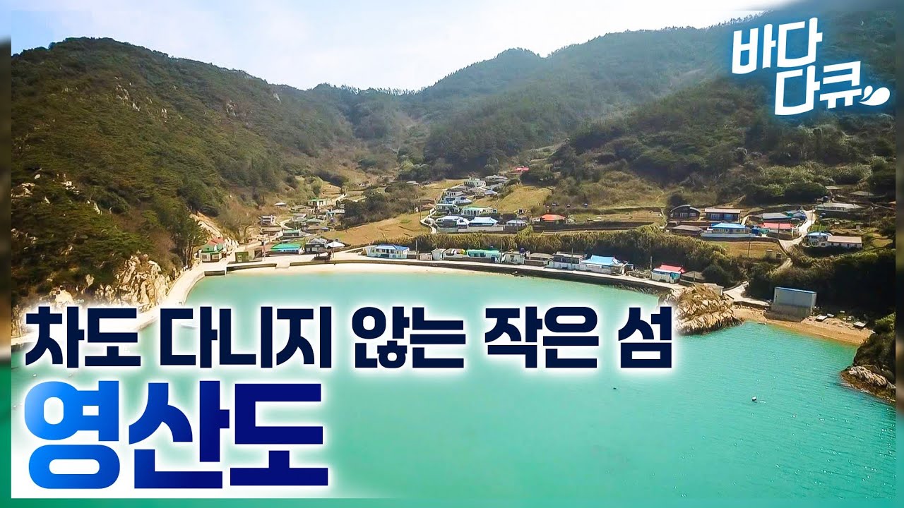 시장도 없고 슈퍼도 없는 섬, 오로지 바다로 장 보러 나가는 섬마을 사람들 / 바다에서 잡은 것들로 차려진 푸짐한 밥상 / 영산도 / #바다다큐