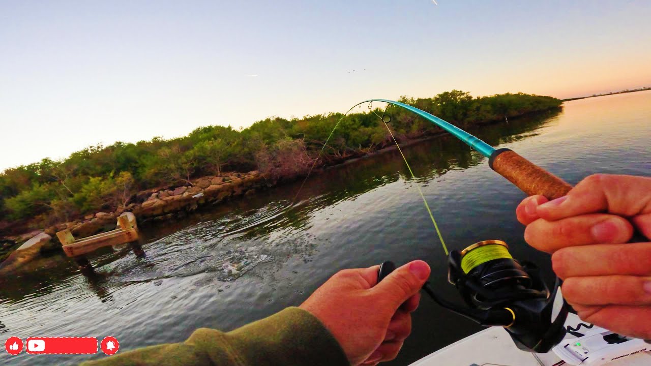 WINTER SNOOK SECRET 🔥 Cold Water Snook CRUSH Small Profile Baits!