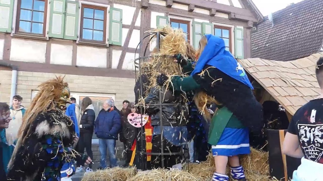 Fasnetsumzug Aidlingen 2023 Teil 5