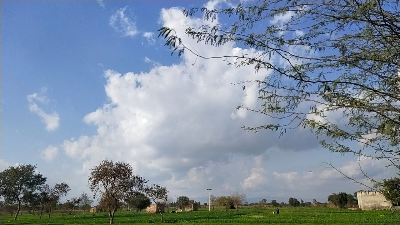 Agriculture land forsale in Khushab Punjab Pakistan Raqba zameen forsale land forsale Rakhba forsale