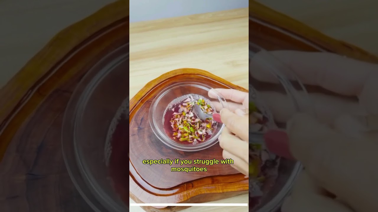 How to Make Your Home Bug-Free | Easy Natural Insect Repellent Hack