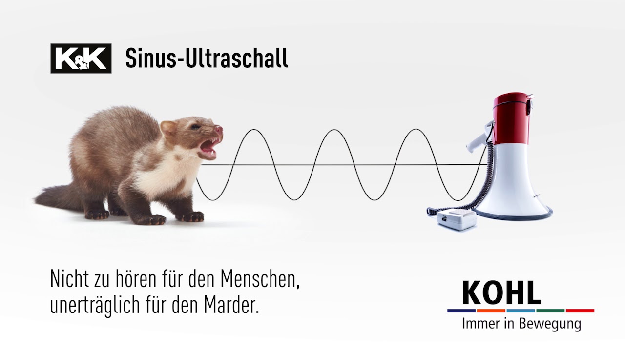 Marderfrei unter der Haube