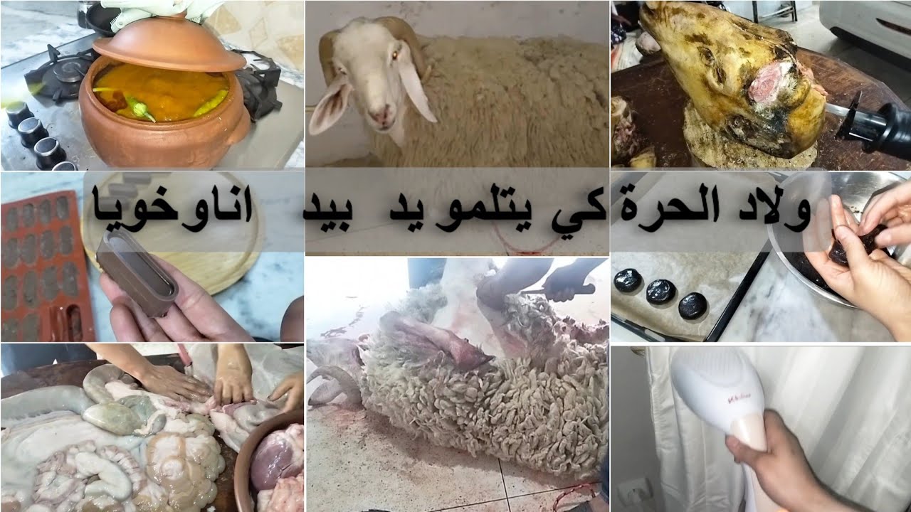 ارواحو نشارك معاكم ليلة و صباح 