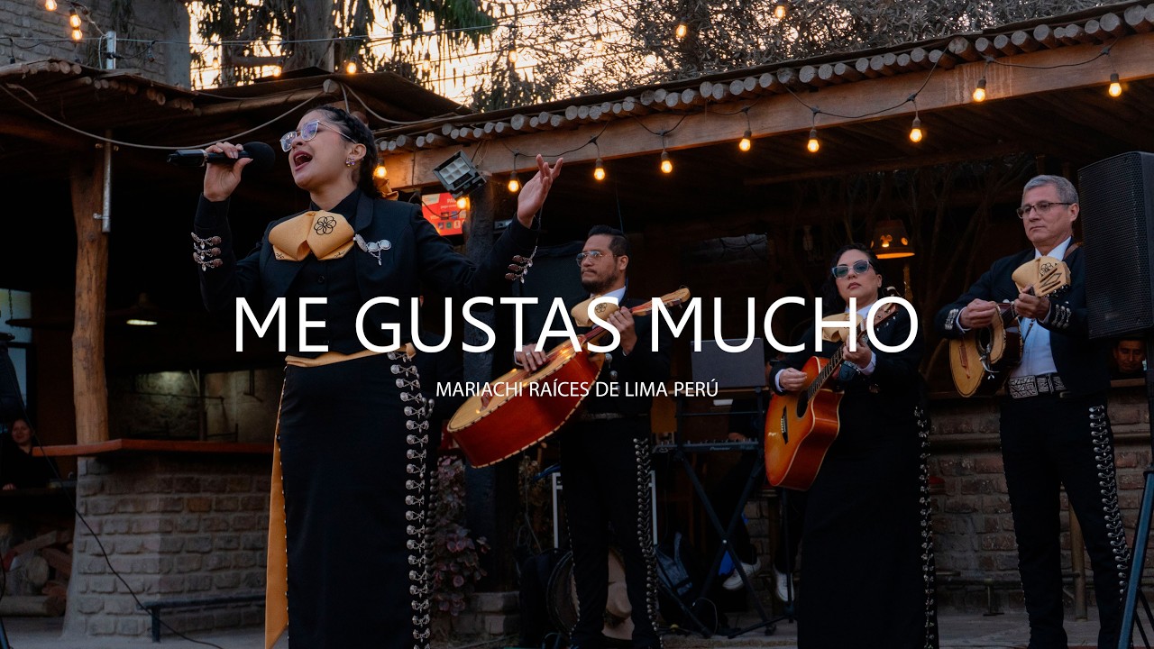 Me gustas mucho - Mariachi Raíces