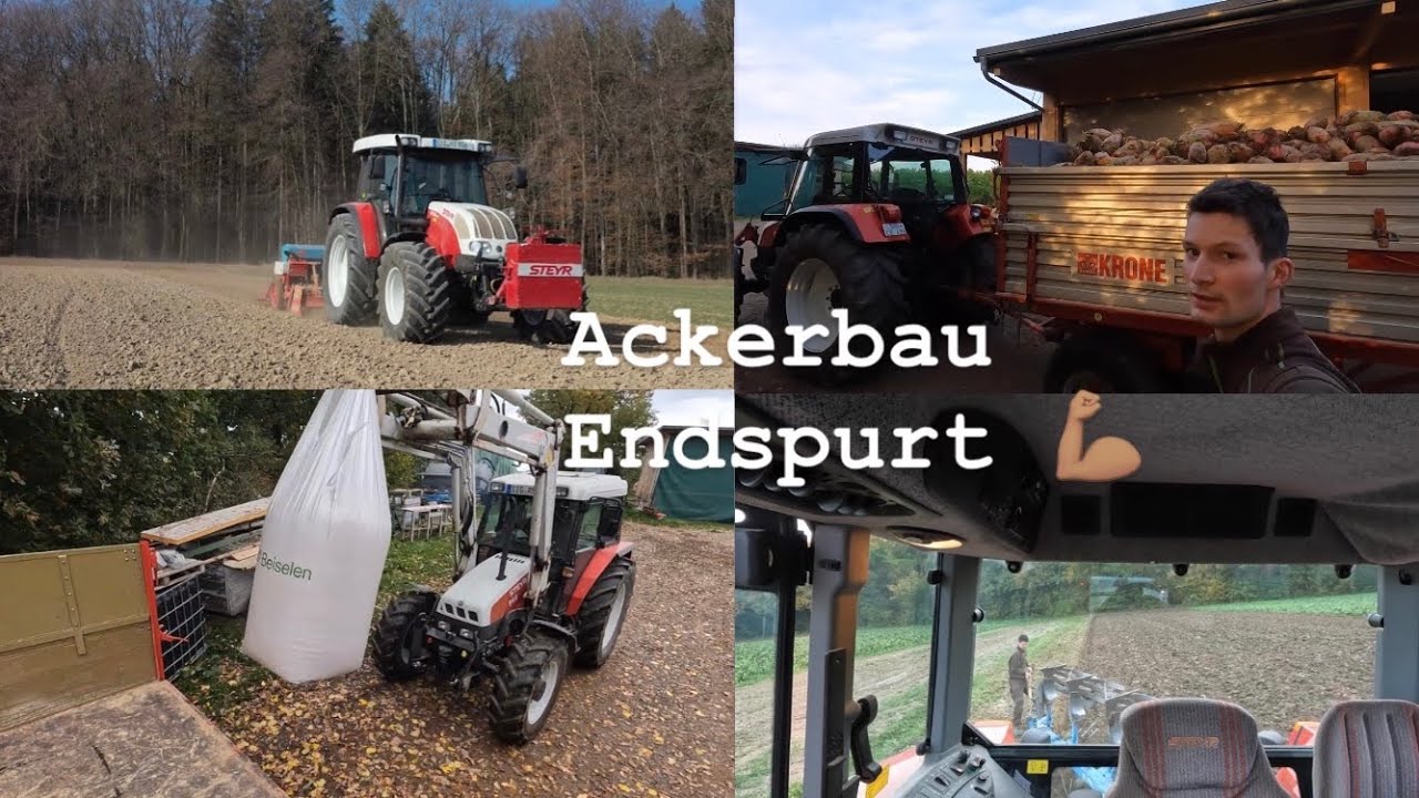 Ackerbau || Rüben ernte | Ackern | Eggen | Säen | Tesseln